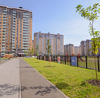 Благоустройство дворов в г. Люберцы – Южный Благоустройство и озеленения в г.Люберцы