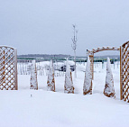 Фотоальбом Укрытие туй от зимних солнечных ожогов Укрытие туй, садовый центр "Южный". Фото 17.