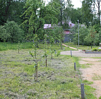 Благоустройство территории Государственного музея-заповедника А.С. Пушкина – Южный Яблоневый сад