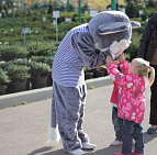 Фотоальбом Праздник урожая сентябрь 2014 Праздник урожая сентябрь 2014