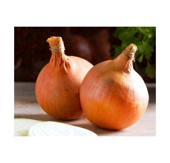 Лук-севок СТУРОН 10-21мм желтый 0,5кг