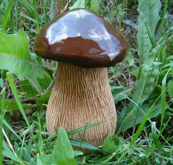 Шамотная фигура "Гриб"